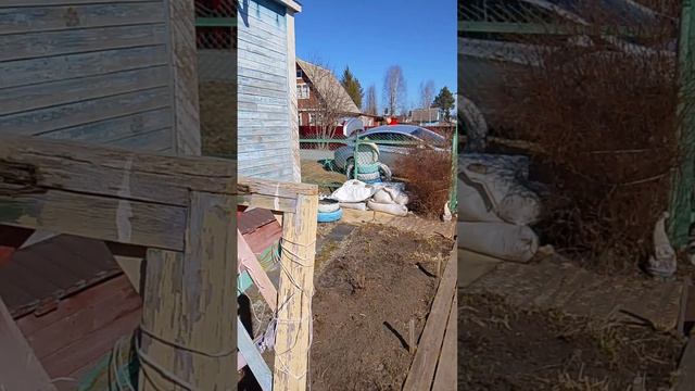 приехали на дачу.