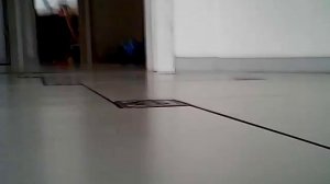 смешное видео про кошку Бусю с танка шпиона игрушка