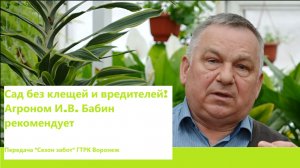 Сезон забот: агроном Бабин про клещей в саду. Аполло + Фитоверм Форте.
