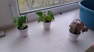 Съездили, проверили, все 👌хорошо