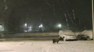 Зима, холода, как в песне# 2 часа ночи- вот  такой сюрприз ждал нас на улице#Метет# Очень холодно#