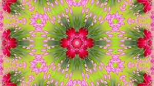 Весна! Очаровательные тюльпаны 8! Киностудия Мудрого Кота Тимофея!