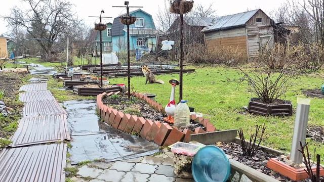 Лена навела панику