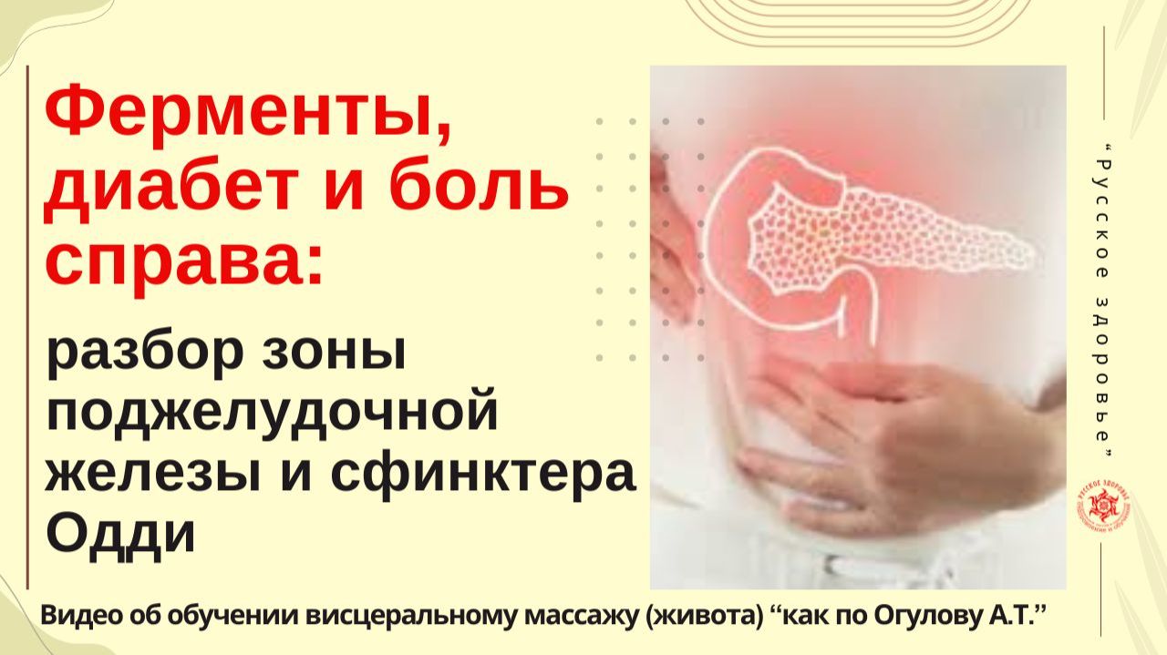 Ферменты, диабет и боль справа: разбор зоны поджелудочной железы и сфинктера Одди .