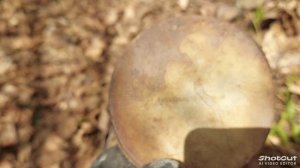 коп по войне в калужской области день второй