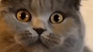 добьём 1800 подписчиков!!!