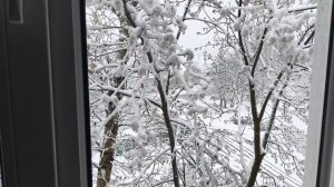 СПАСИБО ЗА СПОР❗ОТВЕЧАЮ КАЖДОМУ❗О ПРАВДЕ БЕЗ ПУТАНИЦЫ ❗🤔👍