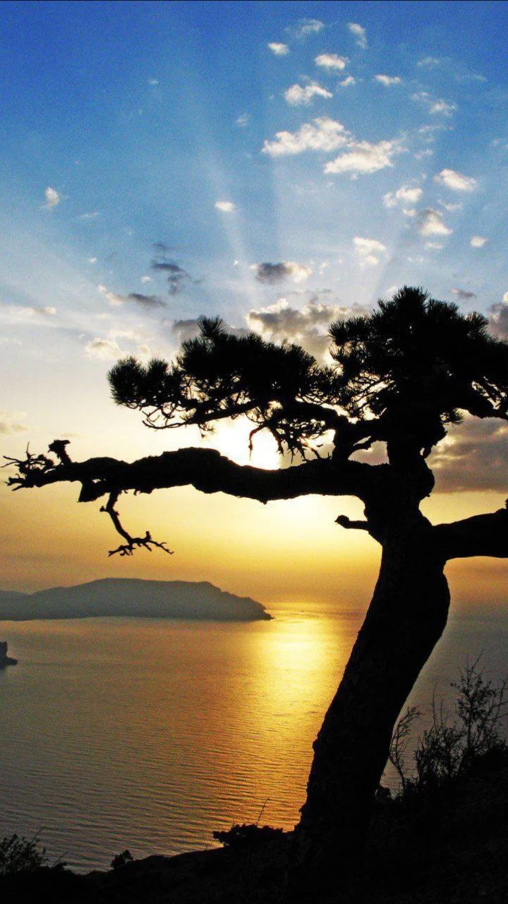 Прощайте милая Катюша - песня. )