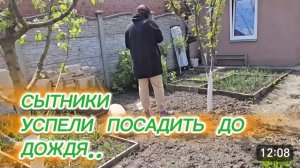 САМВЕЛ АДАМЯН, СЫТНИКИ, УСПЕЛИ ПОСАДИТЬ ДО ДОЖДЯ..