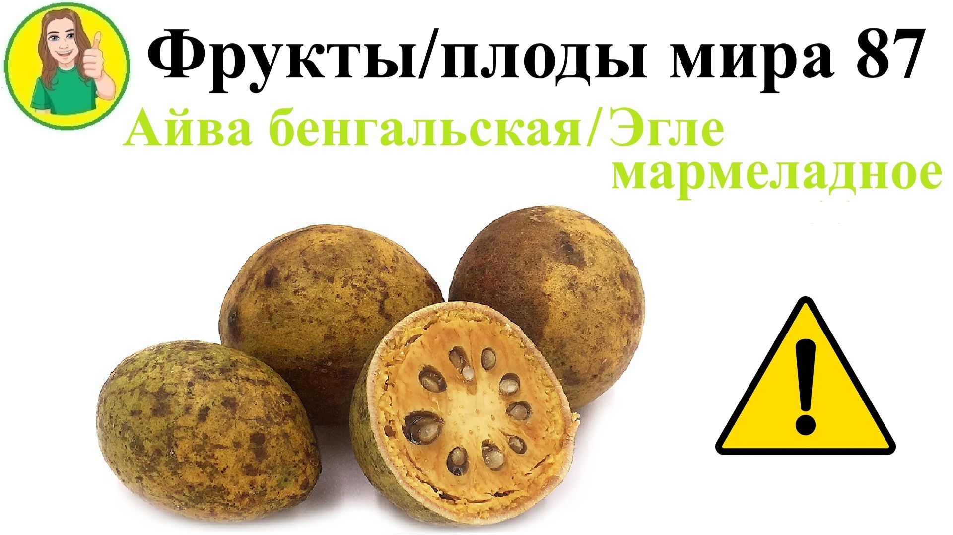 Фрукты – плоды мира 87 – Айва бенгальская или Эгле мармеладное Сыроедение Фрукторианство