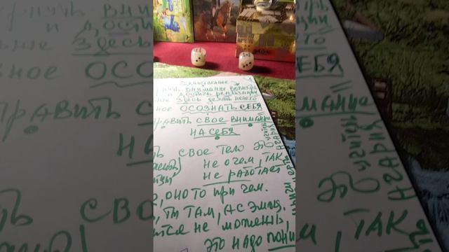 🌎❤️🐬Главное Осознать себя🛑Мое утро🌳