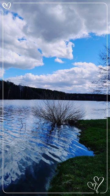 Мой новый фильм 