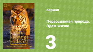 Первозданная природа. Эдем жизни 3 серия (документальный сериал, 1997)