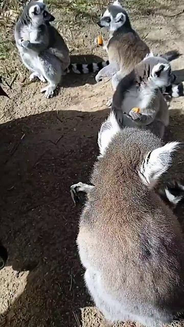 Умным - налево, красивым- направо))