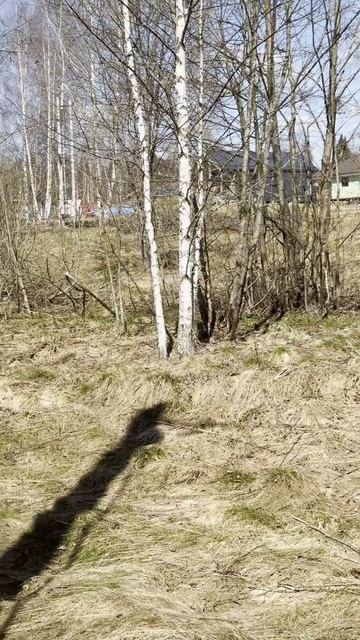 Video_F28AF43B-2B21-4D81-A3BB-78E86A438559