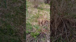 Поехала на дачу. Не стесняйтесь своих ошибок и не бойтесь быть не идеальными