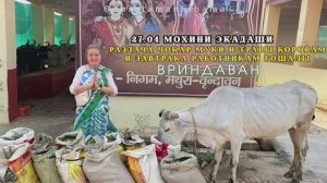 27 апреля. Мохини экадаши. Раздача чокар муки и травы коровам и завтрака работникам гошалы