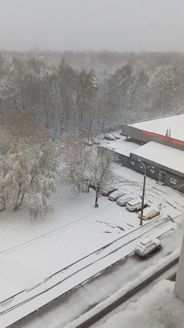 Весна🙃,ночью пошёл снег, а утром метель (27.04.26., утро 06:00)