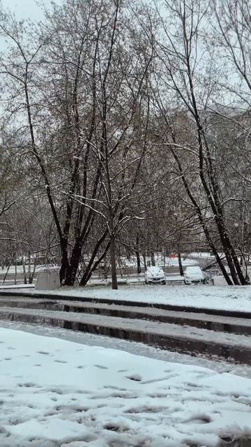 Ситуация: весна в Москве 🙃

#новаямузыка #весна #жизненно #музыка