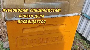 пчеловодство, пчеловодам специалистам своего дела посвящается