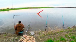 ЗВЕРЮГА РВЕТ ФРИКЦИОН! Бобер Борис в шоке и БЕШЕНАЯ РЫБАЛКА на карася на поплавок