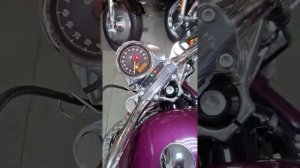 Harley 2015