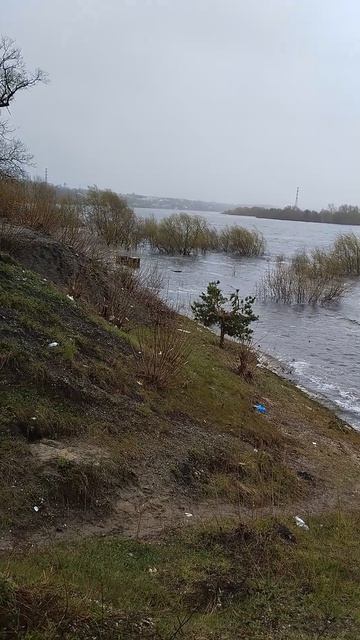 р.Ока. Ветер и дождь со снегом.Волны.