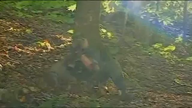 Поздравление пограничникам