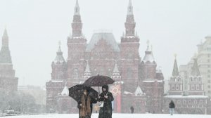Последствия снегопада прошедшего в ночь с 26 на 27 апреля в Москве
