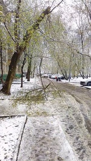 в апреле