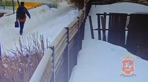 Полицейские установили троих участников хищения для аферистов 70 млн рублей у жительницы Подмосковья