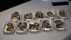 Новости дня  -  21.04.26