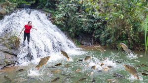 Рыбная ловля с использованием переработанных пластиковых бутылок — поймайте много рыбы и продайте