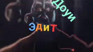 Доуи эдит