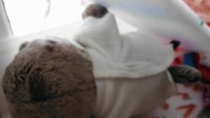 VID_20260427_121746.mp4