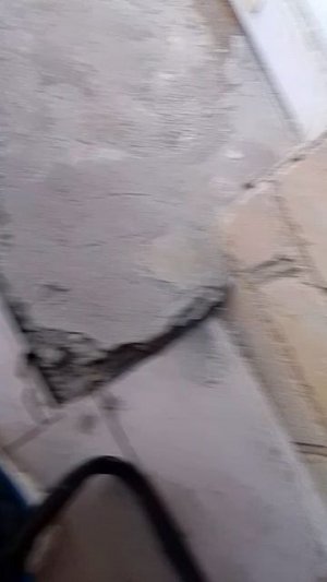 Я ПЕРВЫЙ РАЗ В ЭТОМ ГОДУ ВЫШЕЛ НА БАЛКОН С НАШЕЙ КОШКОЙ ШУНЕЙ!😺