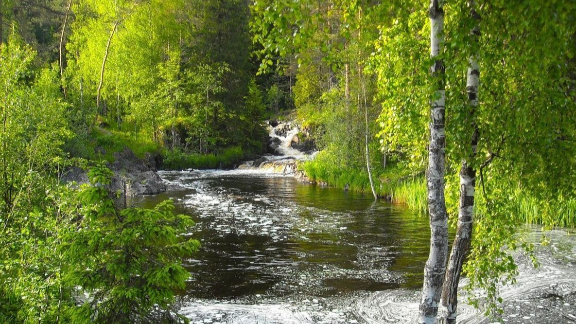 «Как пойду я на быструю речку»