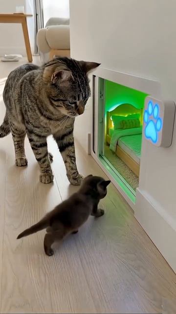 Комната мечты...