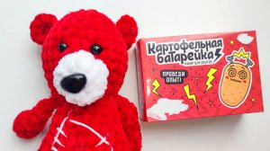 Свет из Картошки. Медведь Костя. Эксперимент. Опыт