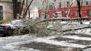 Весенний снегопад в Москве. 27.04.26г.
