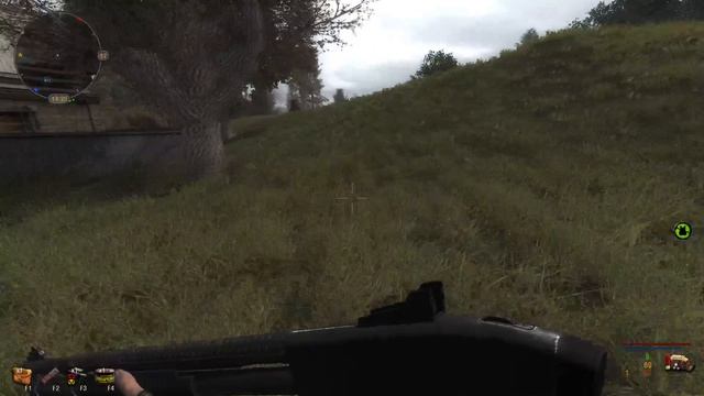 S.T.A.L.K.E.R. Dead City. Final. Минус бандиты.