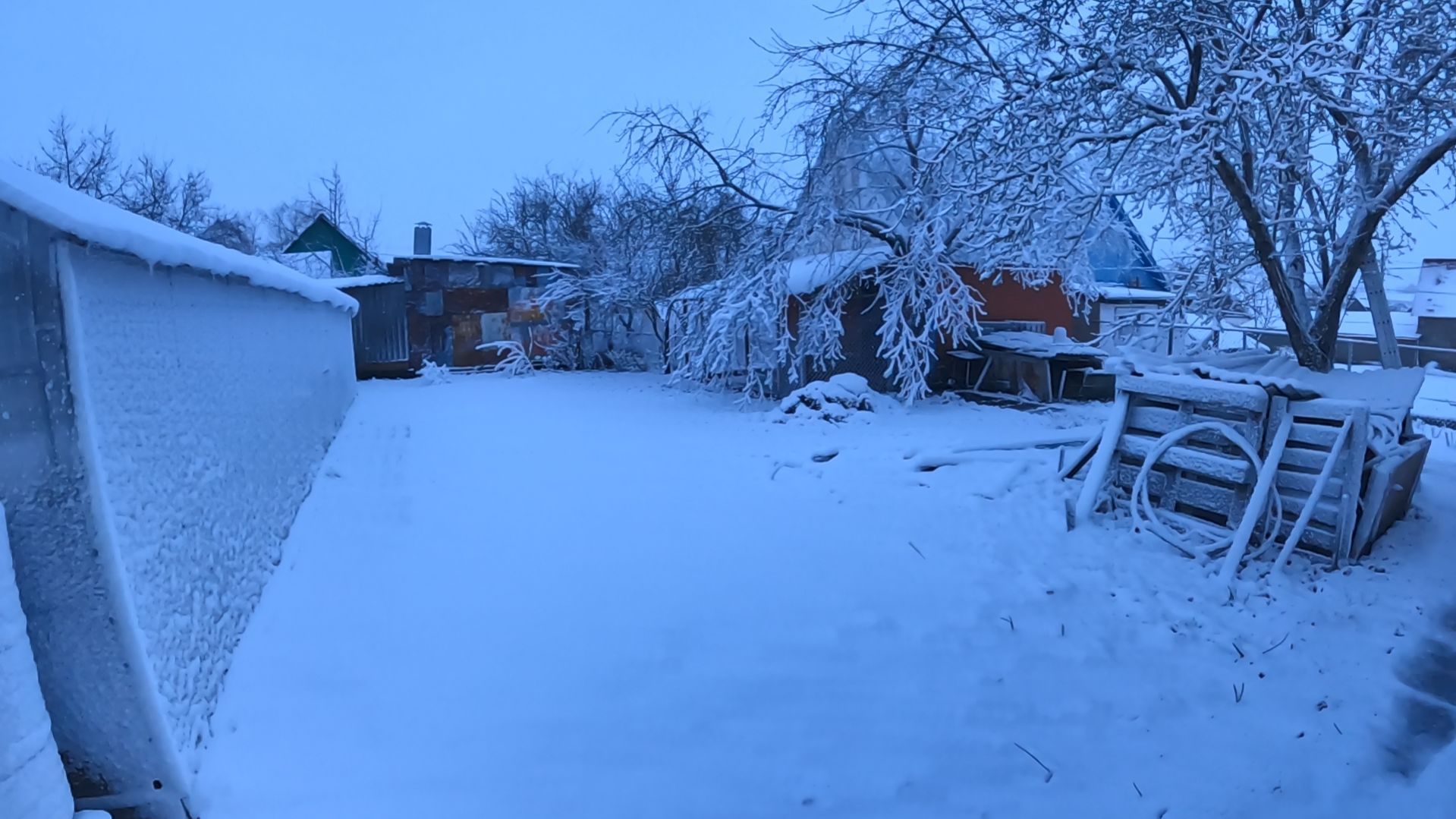 Весенний сюрприз.