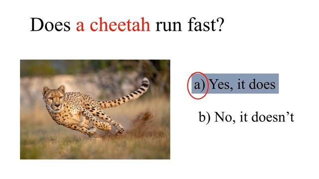 YES or NO Game Verb To Do Fun English Game for Kids! - Esl Extra Corner (720p)