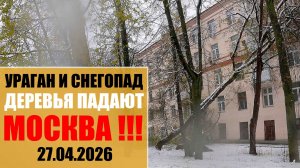 Ураган и снегопад в Москве | Поваленные деревья | Парк Коломенское закрыт! 27.04.2026