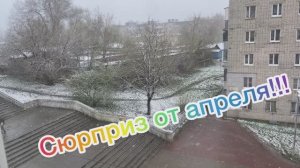 Сюрприз от апреля