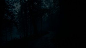 video_Анна Каренина, Эпизод 103