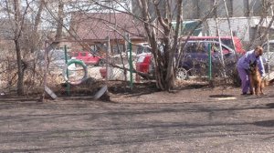 JERRI LEE TEAM CARRERA