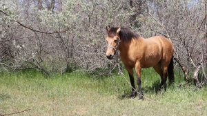 ЭТО ШОК! СТАНДАРТНЫЙ ПРОФИЛЬ ПРОТИВ “КИНО” — СМОТРИ ЧТО ВЫШЛО // 27 апреля 2026