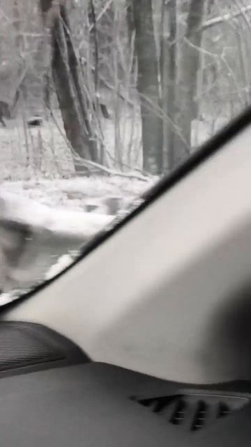 Апрельский снегопад накрыл Москву и Подмосковье