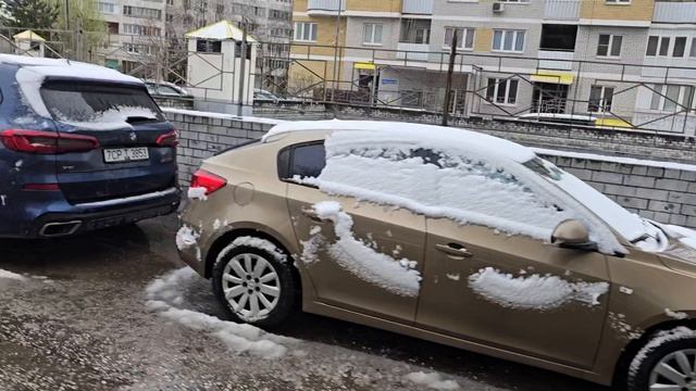 Видео в интервале с  14 апреля по 21 апреля